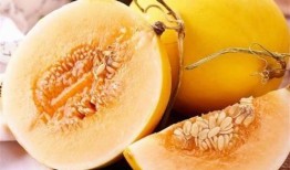 蜜瓜食品怎么吃,多样吃法，尽享夏日清新