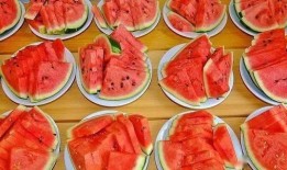 吃瓜群众沙茶俱乐部,一场全民参与的趣味盛宴