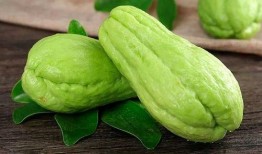 火神瓜怎么吃最好