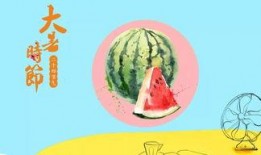 带你吃瓜语文封面,揭秘语文封面背后的故事与趣味