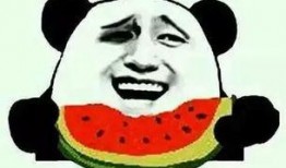 吃瓜n,网络热词背后的故事与影响