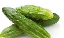 吃小瓜尿多,揭秘瓜类食物的神奇利尿效果