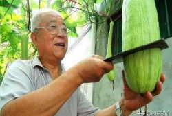 吃瓜视频奇异现象,网络世界的奇观解析