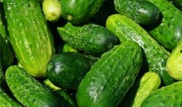 梦梦吃小瓜,梦梦的甜蜜小瓜之旅