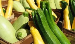 沾益吃瓜,探寻地方特色美食之旅