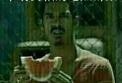 吃瓜群众盆栽图片,吃瓜群众乐陶陶