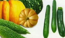 四社人员吃瓜,趣味横生话家常