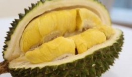 诺诺壳壳吃瓜,揭秘娱乐圈幕后故事