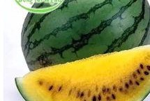 东台吃瓜事件视频曝光,视频曝光揭示惊人真相