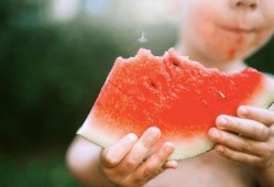 吃瓜被咬,意外遭遇“咬瓜”风波