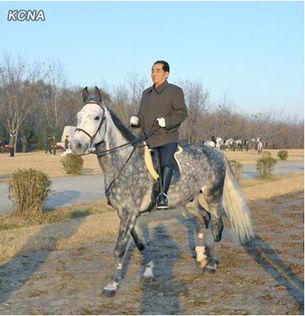 吃瓜妹骑马图片,一场别开生面的田园风情秀